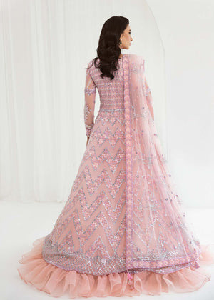 Daneen - Dastoor Collection