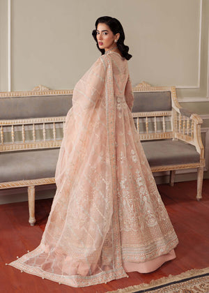 Cascade - Dastoor Collection