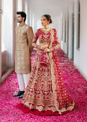 Rija - Dastoor Collection