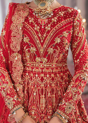 Zarish - Dastoor Collection